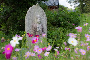台州防火仿真植物品牌，绿色环保，安全美观两不误