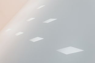 西藏墙面艺术涂料品牌深度解析