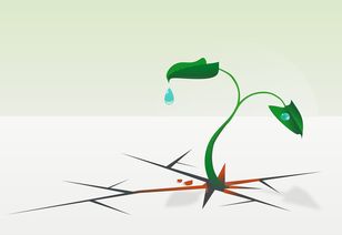 揭秘新品牌水龙头，创新设计，绿色生活新选择！