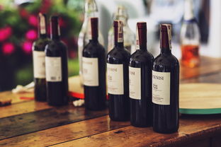 酒精测量仪十大品牌深度解析