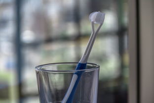 品牌加长软毛牙刷—口腔护理新选择，呵护全家口腔健康