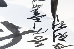 书法加盟品牌哪家强？揭秘书法加盟市场热门品牌及加盟优势