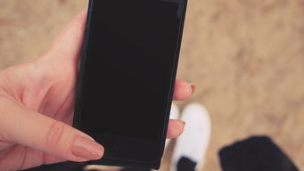 探索智能手机的多样化世界，从微软WP8.1到现代潮流