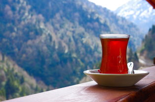 夏日炎炎，这些水杯泡茶品牌让你随时随地享受茶香四溢