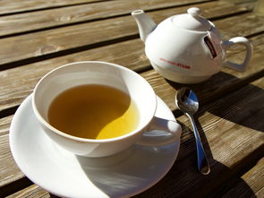 夏日炎炎，这些水杯泡茶品牌让你随时随地享受茶香四溢