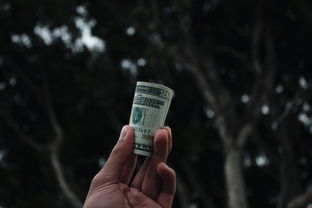 儿童铅笔哪个品牌好？一文带你了解各大品牌优劣！