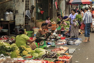 中餐食材西餐品牌的跨文化融合之旅