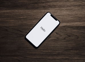 iPhone手机品牌日，科技与创新的完美融合