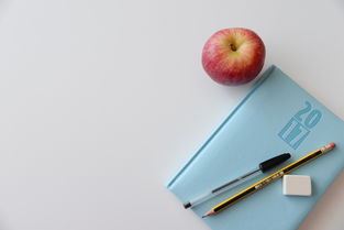学生党的平价内衣选择指南—相机与内衣的完美搭配