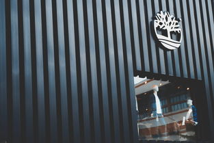 佛山品牌尾货瓷砖店铺深度解析