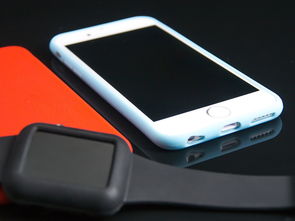 iPhone手机套品牌排行指南