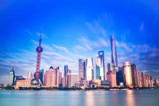 2022年瓷砖品牌市场概览