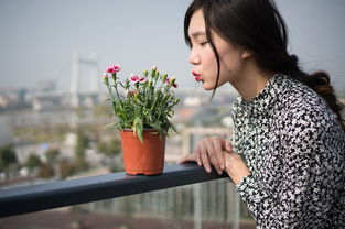 探索汉服睡衣的时尚与舒适