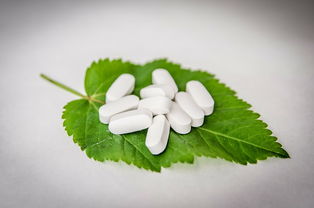 国产宠物漱口水推荐品牌大盘点，让你的宠物口腔更健康！