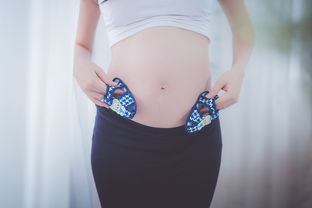 女士内衣品牌精选，美丽与舒适的完美结合