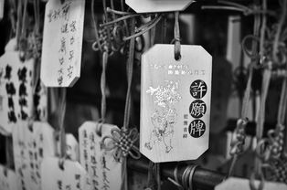 揭秘防弹门锁芯品牌，安全守护的幕后英雄