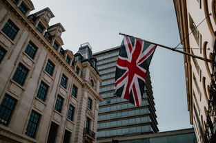 英国中餐店的多样化选择