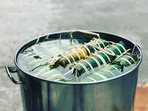 探索内蒙古的绿色宝藏—当地食用油品牌